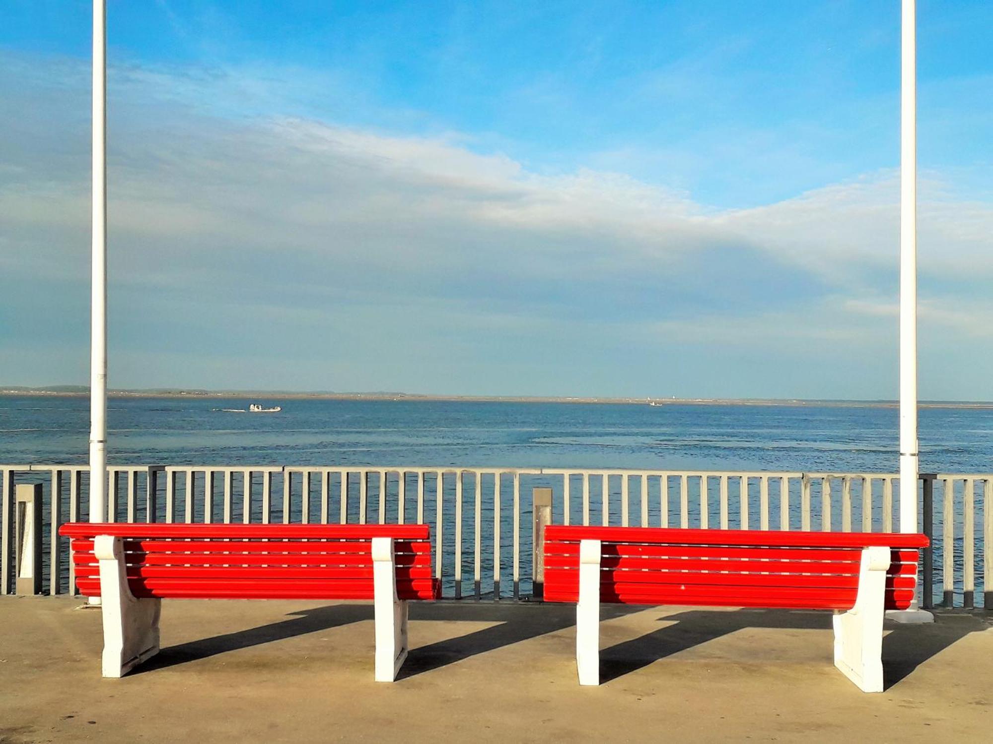 St Arnaud Appartement Calme Parking Proche Plage Arcachon Eksteriør billede